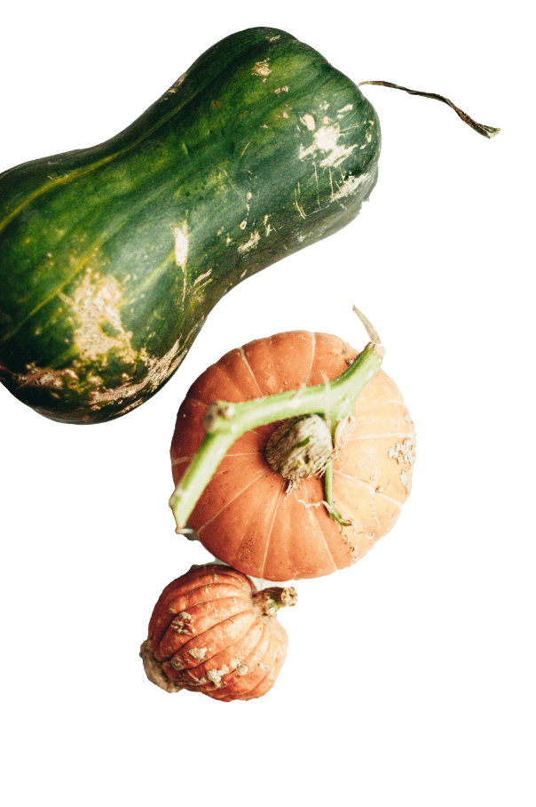 Productos Auténticos y Puros